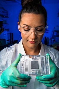A scientist studying new methods for detecting foodborne bacteria directly from a patient sample.