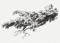 Vintage tree parts botanical illustration, remix from artworks by Gilles Demarteau