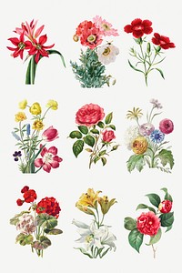 Vintage blooming flowers psd illustration set