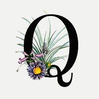 Q letter floral vintage vector