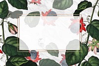 The winged passion flower rectangle frame vector