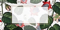 The winged passion flower banner vector