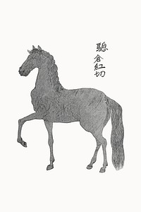 Horse icon illustration vector