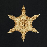 Season&rsquo;s greetings gold snowflake Christmas ornament macro photography, remix of photography by Wilson Bentley
