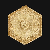 Christmas gold snowflake vector macro photography, remix of art by Wilson Bentley