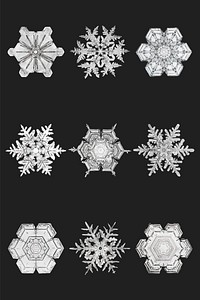 Winter snowflake vector macro photography set, remix of art by Wilson Bentley