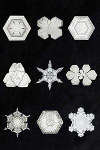 Winter snowflake psd macro photography set, remix of art by Wilson Bentley