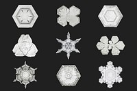 New year snowflake vector macro photography set, remix of art by Wilson Bentley