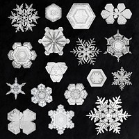 Christmas snowflake set season&rsquo;s greetings ornament macro photography, remix of art by Wilson Bentley