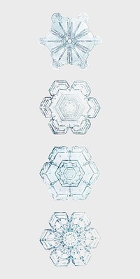 Icy snowflake vector macro photography set, remix of art by Wilson Bentley