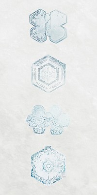 Winter gold snowflake psd macro photography set, remix of art by Wilson Bentley