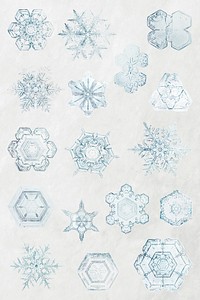 Season&rsquo;s greetings snowflake Christmas ornament set macro photography, remix of photography by Wilson Bentley