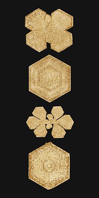Icy gold snowflake vector set macro photography, remix of art by Wilson Bentley