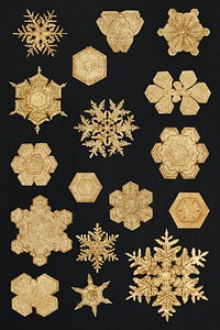 Winter gold snowflake Christmas ornament set macro photography, remix of art by Wilson Bentley