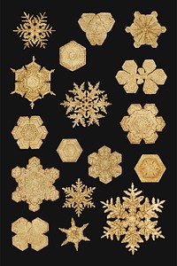 New year gold snowflake vector set macro photograph, remix of art by Wilson Bentley