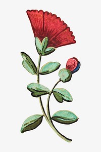 Vintage red flower vector, featuring public domain artworks