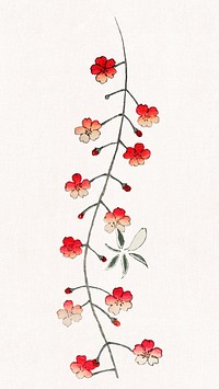 Traditional Japanese sakura ornamental psd element, remix of artwork by Watanabe Seitei
