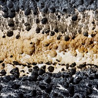 Yellow and black marine rock surface texture background