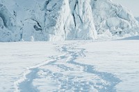 Animal footprint tracks in the snow at Ilulissat, Greenland