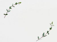 Green leaf frame on white background