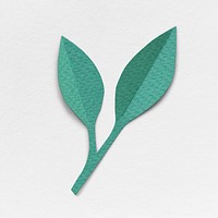 Green paper craft leaf isolated