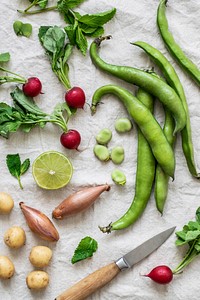 Various fresh organic vegetables on a white background