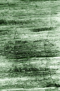 Ligh green wood textured background