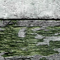 Green paint old wood texture background