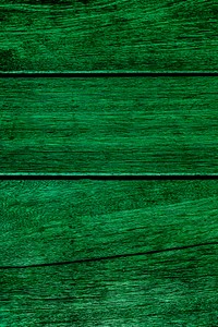 Dark green plank wood texture