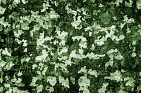 Abstract green pattern concrete background