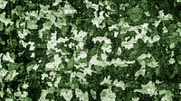 Abstract green pattern concrete background