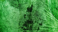 Green grunge texture background image