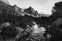 Virgin river in Zion National Park at Utah, USA