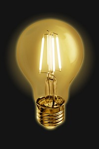 Edison light bulb on a black background