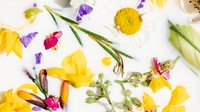 Colorful spring flowers in a milk bath patterned background