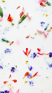 Colorful spring flowers in a milk bath