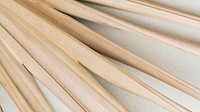 Dry fan palm leaf background