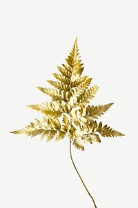 Golden leatherleaf fern plant mockup