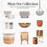 Plant pot collection home decor