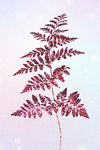 Glittery pink leatherleaf fern on pastel background
