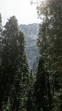 Mountains overlooking the Yosemite National Park mobile screen wallpaper