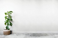 White empty room with a plant wall mockup