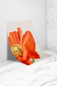 Orange flower poster, aesthetic, Spring photo