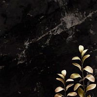 Eucalyptus pattern on black background template vector