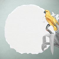 Yellow Senegal parrot and white lily with frame illustration