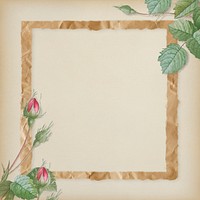 Double moss rose with crumpled brown paper frame on beige background illustration
