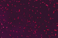 Red confetti on purple marble textured background