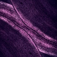 Shiny purple textured background design