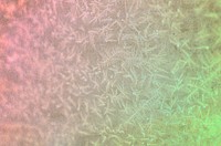 Colorful frost on a window background