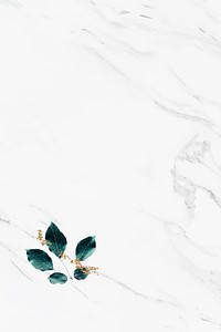 Foliage pattern on marble textured background